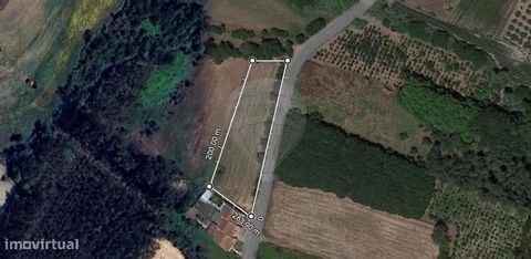 O terreno está localizado na área de Silveira, Oiã, apresentando aproximadamente 115 metros de frente e uma área total de 2880 metros quadrados.  Este terreno caracteriza-se por ser uma oportunidade notável para desenvolvimento residencial, uma vez q...