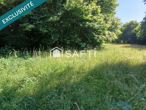 Terrain avec des multiples arbres , châtaigniers , chênes et taillis Idéal pour les amoureux de la nature et personnes désireuses de vivre retirées ou avoir son propre bois pour un pique-nique familial ou détente entre amis Terrain non constructible ...