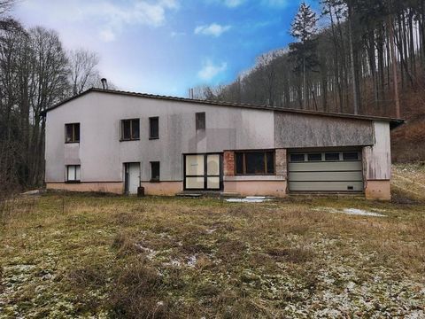 Ce hall spacieux à Kleinschmalkalden offre un large éventail de possibilités aux entrepreneurs et aux artisans à la recherche d’un nouvel emplacement. Avec beaucoup d’espace de rangement, des bureaux à l’étage et un grand terrain plat, il est idéal p...
