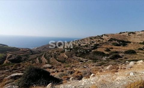 Naxos, near Abram beach, is available for sale of a total area of 25,000 sqm, outside the city plan, excellent and buildable, suitable for tourist exploitation (builds about 2500 sqm). The view of the endless blue of the Aegean and the opposite islan...