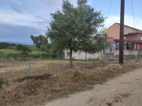 For sale, Land plot Within Building plan, in Zaloggo - Archaggelos. The Land plot is Εven and Βuildable, For development, Flat, Fenced, With Facade, it has 13,55 m. facade length, 32,06 m. depth and the coverage ratio is 60%. The maximum building all...