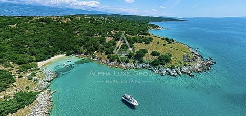 ID CODE: ALG-2480 Robert Budimir Agent s licencom Mob: +385 95 363 1892 Tel: +385 52 204 933 E-mail: robert@alphaluxegroup.com https://alphaluxegroup.com Marijana Budimir Agent s licencom Mob: +385 95 363 1893 Tel: +385 52 204 933 E-mail: marijana@al...