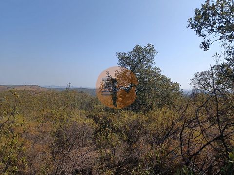 Rustic Land with 7,240m², New House, Near Aldeia dos Balurcos, in Alcoutim - Algarve Land with good access. Located just a few minutes from the village of Balurcos in Alcoutim. Only 15 minutes from the River Beach of Alcoutim and the center of the vi...