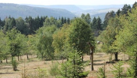 Dieses Ferienhaus in Suhl-Goldlauter/Heidersbach befindet sich in traumhaft ruhiger Lage direkt am Waldrand. Familien können hier herrlich entspannen und schöne Momente auf der großen Terrasse verbringen. Direkt vor der Haustür können Sie im Wald wan...