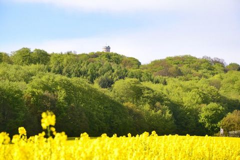 Zadbany kompleks wypoczynkowy o architekturze nadmorskiego kurortu położony jest 800 metrów od południowej plaży w nadbałtyckim kurorcie Sellin. Największą atrakcją i symbolem Sellin jest bez wątpienia 400-metrowe molo z restauracją. Wybudowany pierw...